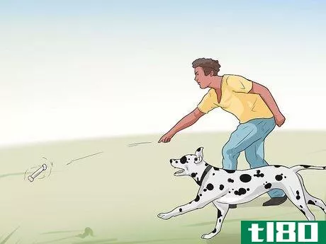 Image titled Help Dogs with Joint Problems and Stiffness Step 8