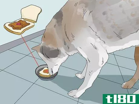 Image titled Give a Dog Benadryl Step 2