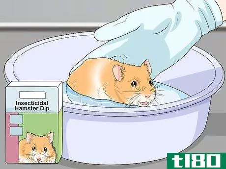 Image titled Get Rid of Mites on Hamsters Step 15