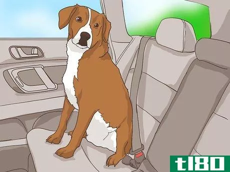 Image titled Handle Holiday Travel with Your Pet Step 2