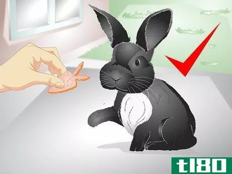 Image titled Keep Your Rabbit Slim Step 11