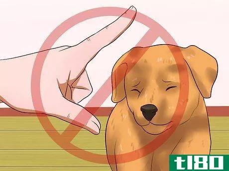 Image titled Get Your Puppy to Stop Biting Step 16