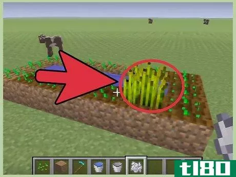Image titled Grow Wheat in Minecraft Step 7