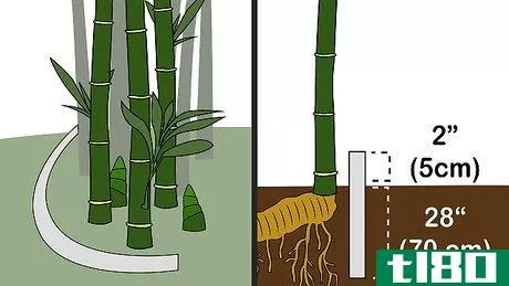 Image titled Kill Bamboo Step 9