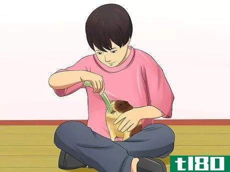 Image titled Get Your Guinea Pig to Trust You Step 13