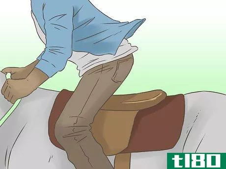 Image titled Get a Horse Fit Step 12
