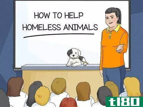 Image titled Help Homeless Animals Step 20