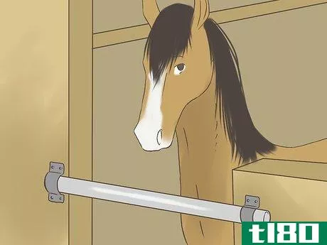 Image titled Get a Horse Fit Step 10