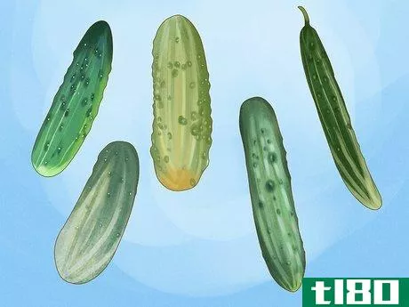 如何盆栽黄瓜(grow cucumbers in pots)