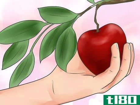 如何嫁接苹果树(graft an apple tree)