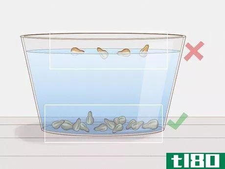 Image titled Grow Grapes from Seeds Step 3