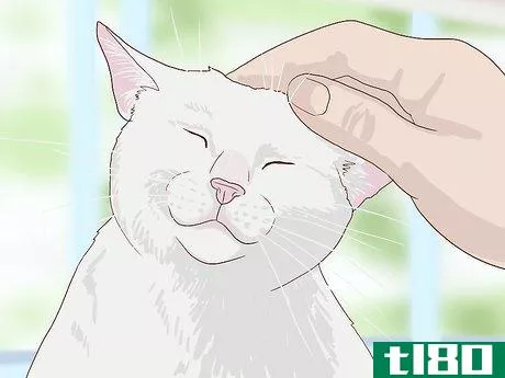 Image titled Introduce a New Cat to Other Cats Step 11