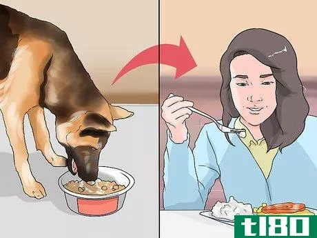 Image titled Handle Dog Begging for Food Step 5