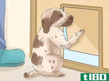 Image titled Help Your Dog Live Longer Step 19
