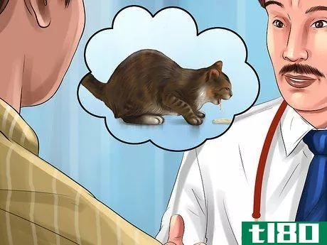 Image titled Give Amlodipine Besylate to Cats with High Blood Pressure Step 7