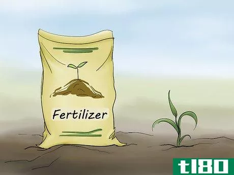 Image titled Grow Millet Step 16