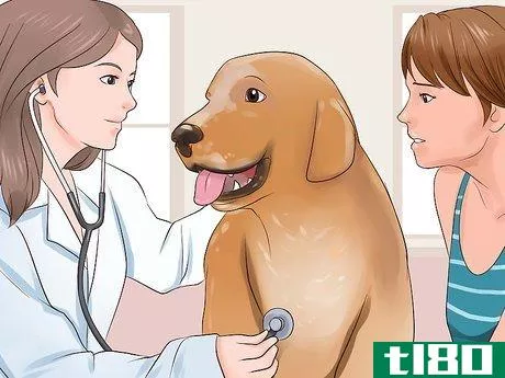 Image titled Check a Dog for Ringworm Step 6