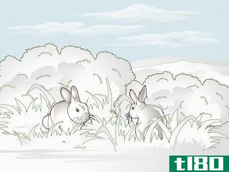 Image titled Hunt Rabbit Step 13