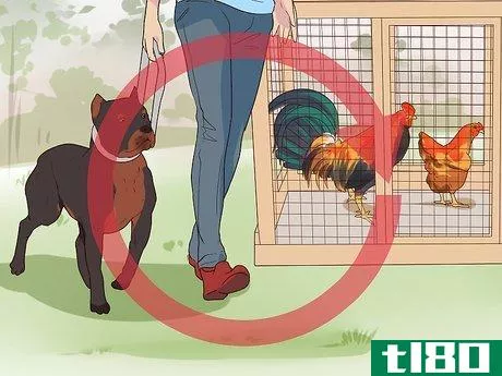 Image titled Introduce a Dog to Pet Chickens Step 6