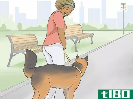 Image titled Identify a Service Dog Step 2