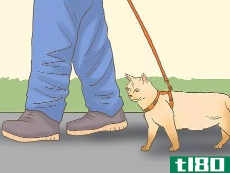 Image titled Get an Emotional Support Animal Letter Step 13