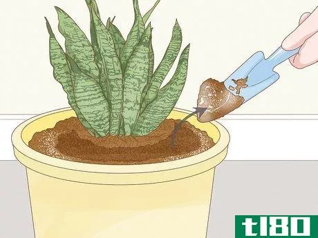 Image titled Get Rid of Mold on Houseplants Step 1