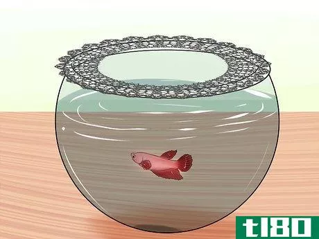 Image titled Keep Fish when You Have Cats That Like to Hunt Step 2