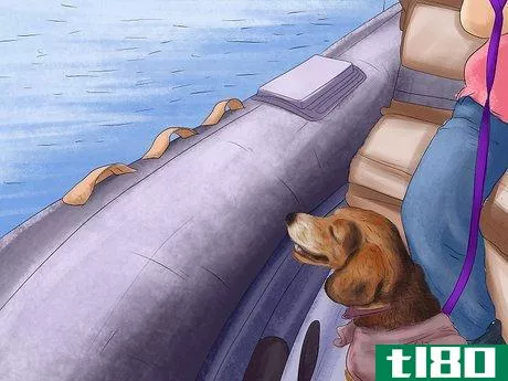 Image titled Keep Your Dog Safe on a Boat Ride Step 10