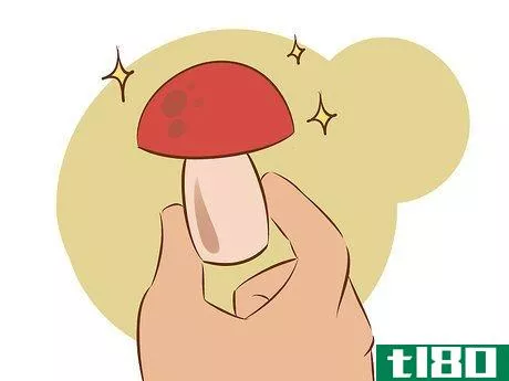 Image titled Grow Edible Mushrooms Step 18