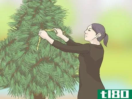 Image titled Keep Your Christmas Tree Fresh Longer Step 11