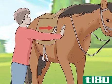 Image titled Get Your Horse to Stand Still for Mounting Step 7