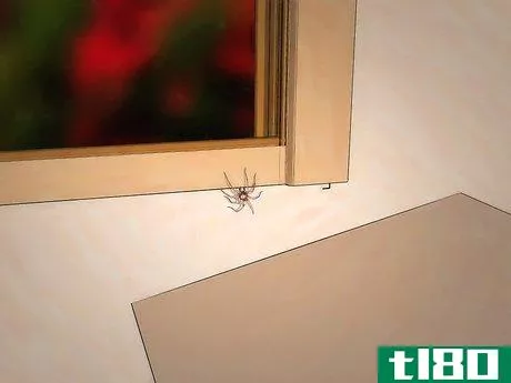 Image titled Get Spiders Out of Your House Without Killing Them Step 4