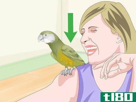 Image titled Keep a Senegal Parrot Entertained Step 11