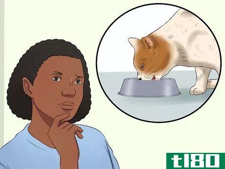 Image titled Give a Cat an Enema at Home Step 2