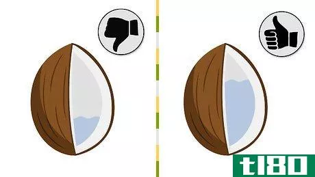 Image titled Grow a Coconut Tree Step 1