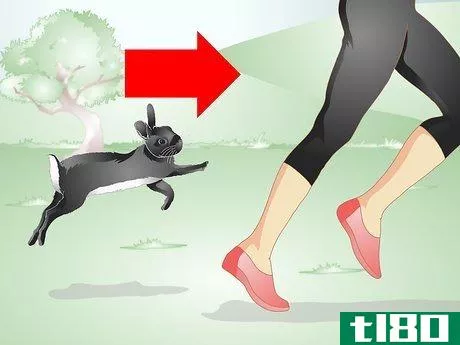 Image titled Keep Your Rabbit Slim Step 3