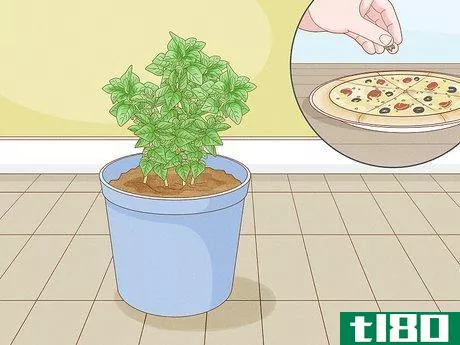 Image titled Grow an Herb Garden Indoors Year Round Step 3