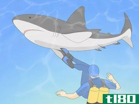 Image titled Get over Your Fear of Sharks Step 9