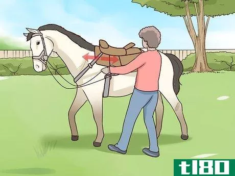 Image titled Get Your Horse to Stand Still for Mounting Step 6