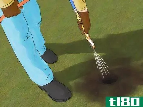 Image titled Get Rid of Gophers Step 14