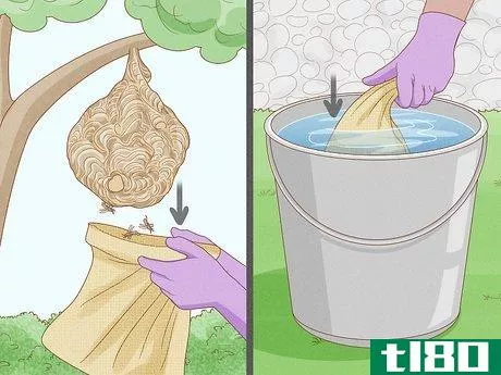 Image titled Get Rid of a Wasp's Nest Step 16