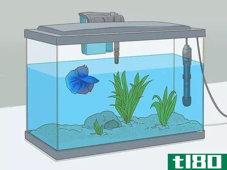 Image titled Grow a Bond With Your Betta Fish Step 2