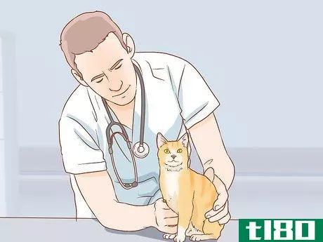 Image titled Help a Deaf Cat Step 10