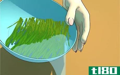 Image titled Grow Wheatgrass at Home Step 11