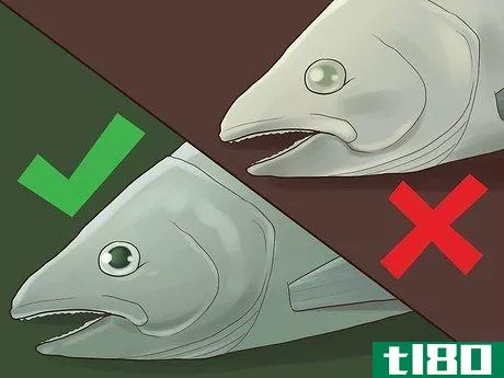 Image titled Know if Salmon Is Bad Step 4