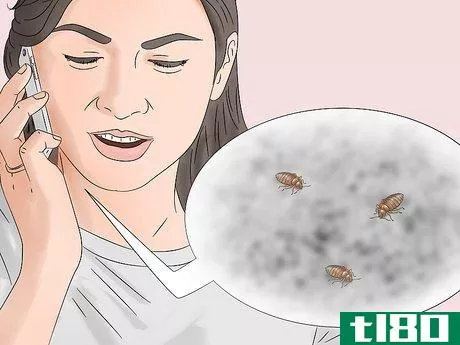 Image titled Get Rid of Bed Bugs Step 1