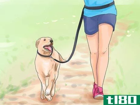 Image titled Hold a Dog's Leash Step 12
