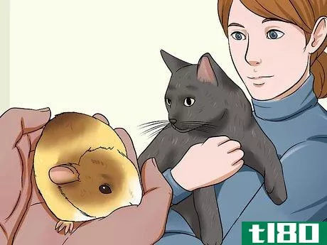 Image titled Keep Guinea Pigs when You Have Cats Step 8