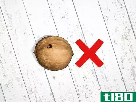 Image titled Identify Hickory Nuts Step 16