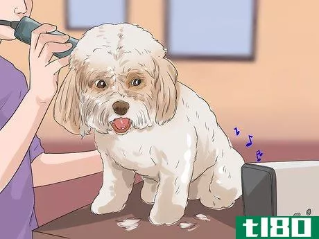 Image titled Groom a Dog That Bites Step 3